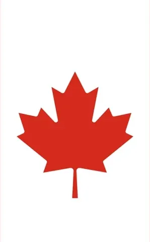 More Canadian Institutions logo